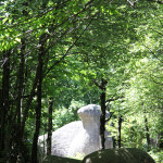 Haut-Languedoc Tarn