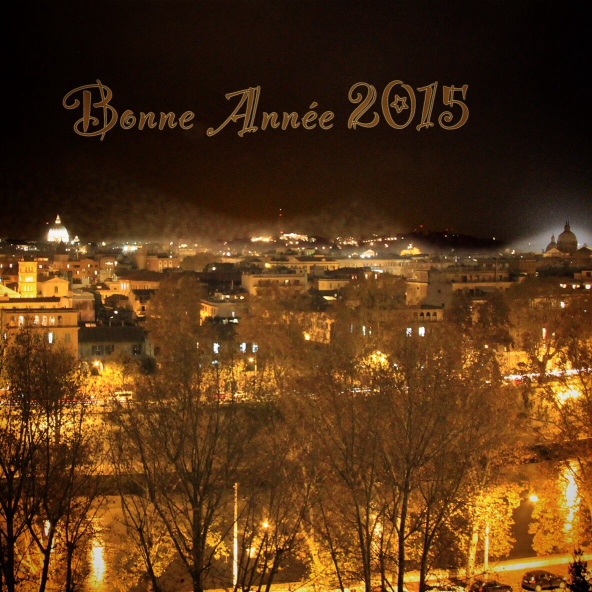 Bonne année 2015