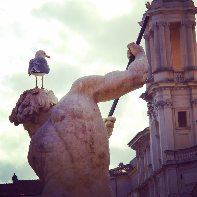 roma__piazza_navona_by_arnopiel-d8s94ly