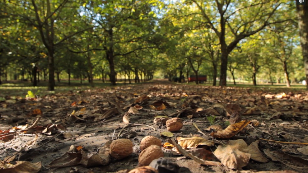 Eco-quartier La Rivière dans le Vercors / Inventer Demain / Fédération des Parcs naturels régionaux de France