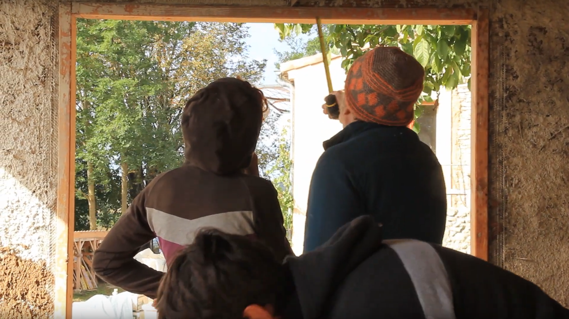 Matériaux naturels : le bois de cèdre du Parc du Luberon