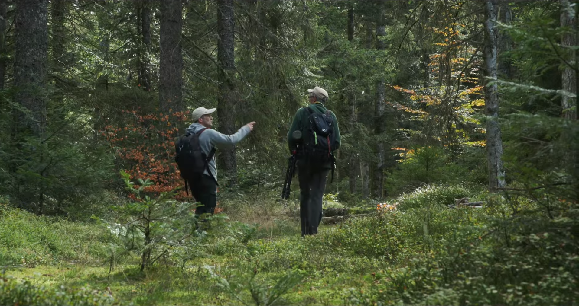 Naturalistes à la recherche de la chouette chevechette Plateforme Biodiv en Livradois Forez