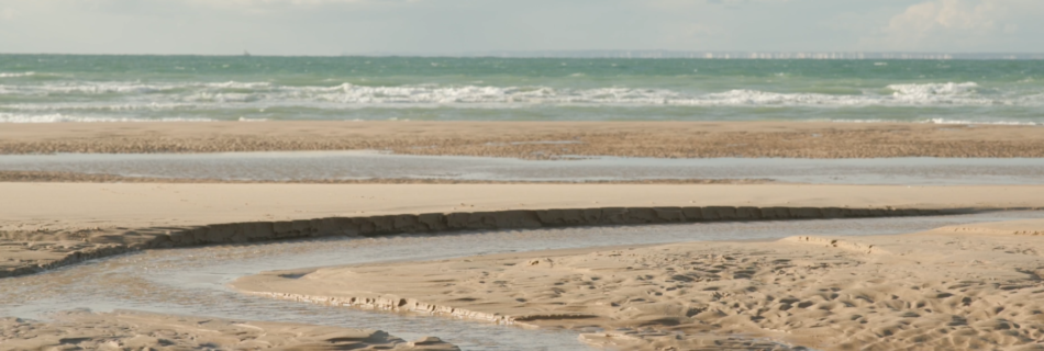 Caps et marais d'opale