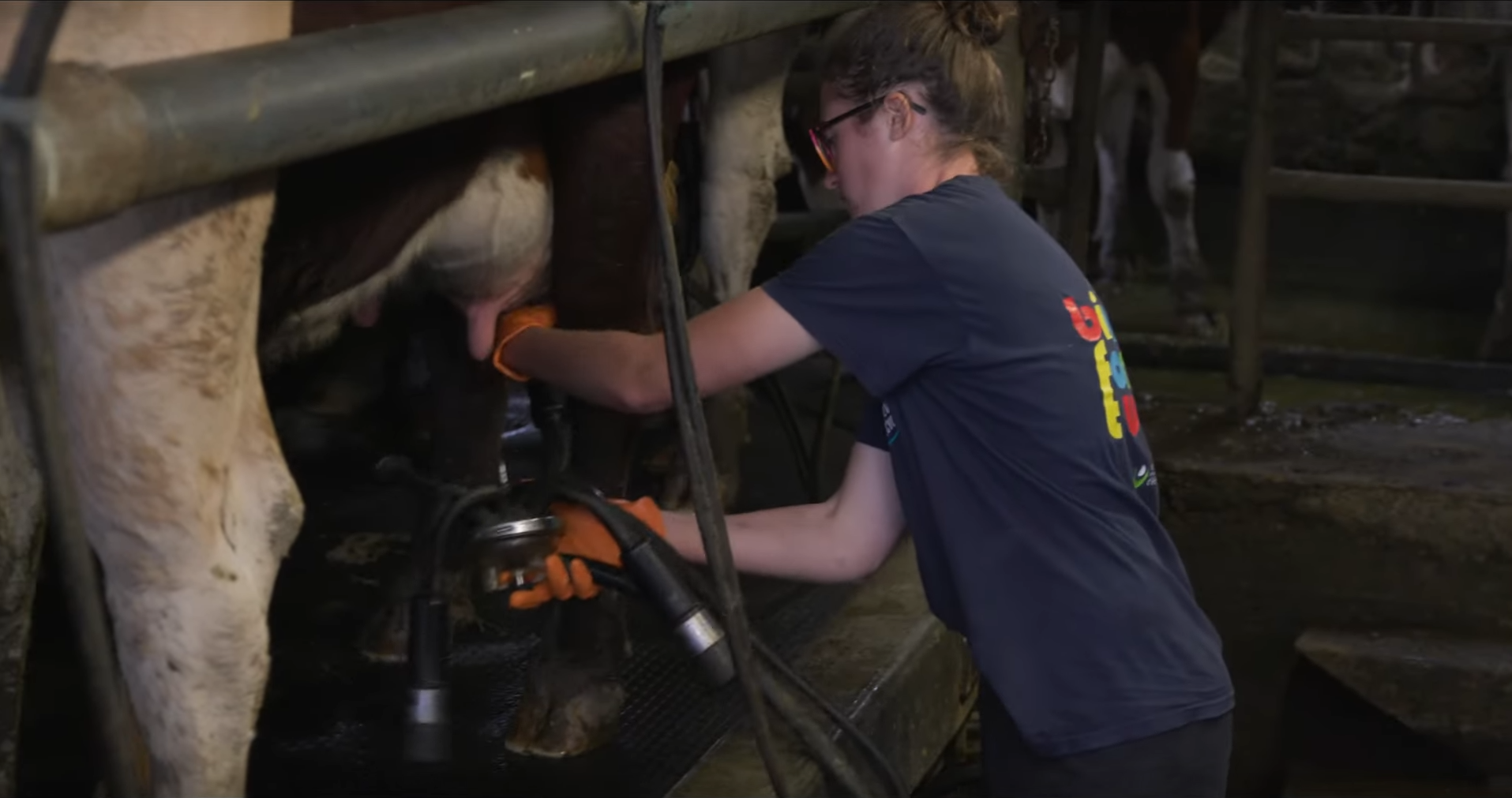 Manger local, les agriculteurs au service de la communauté